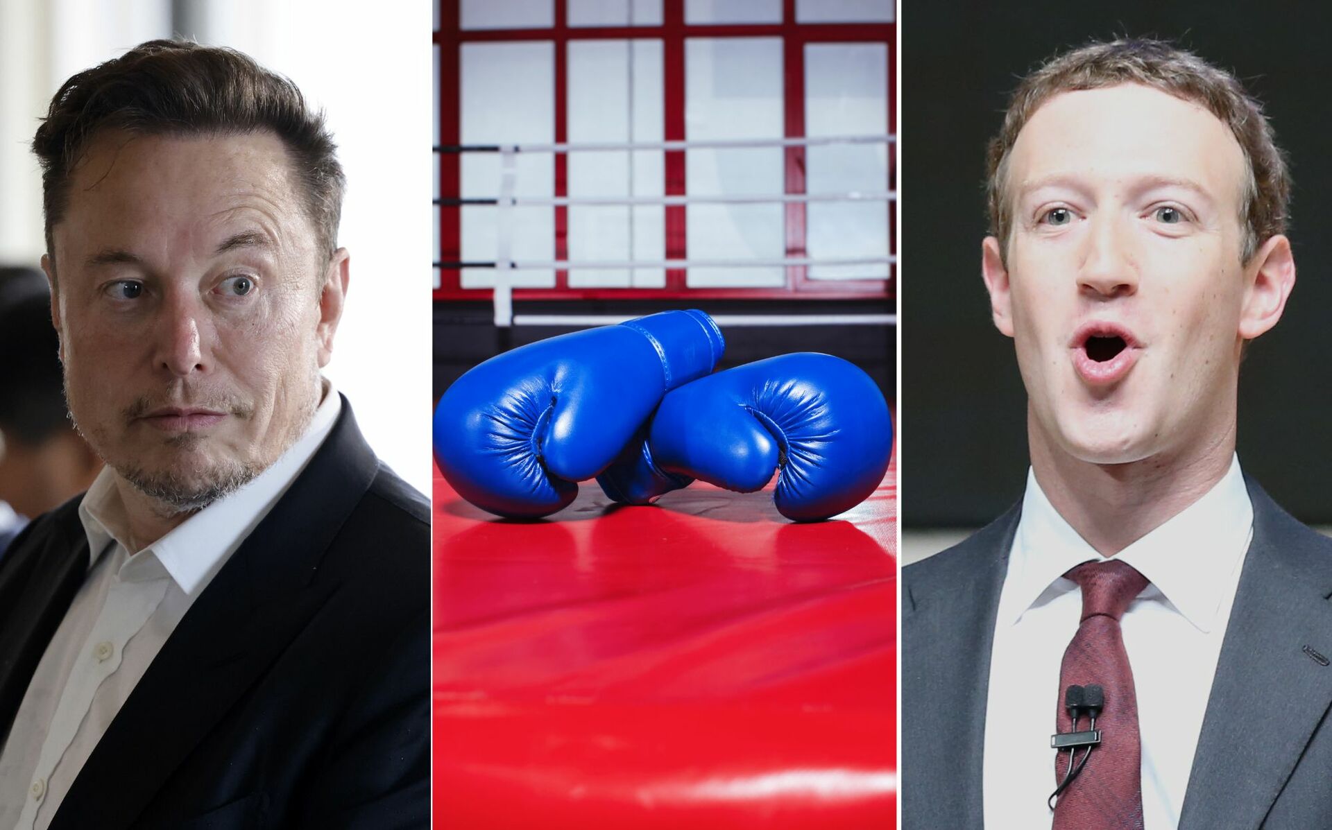 Elon Musk Y Mark Zuckerberg Calientan Su Pelea Se Adelanta La Transmisión Condiciones Y 3676