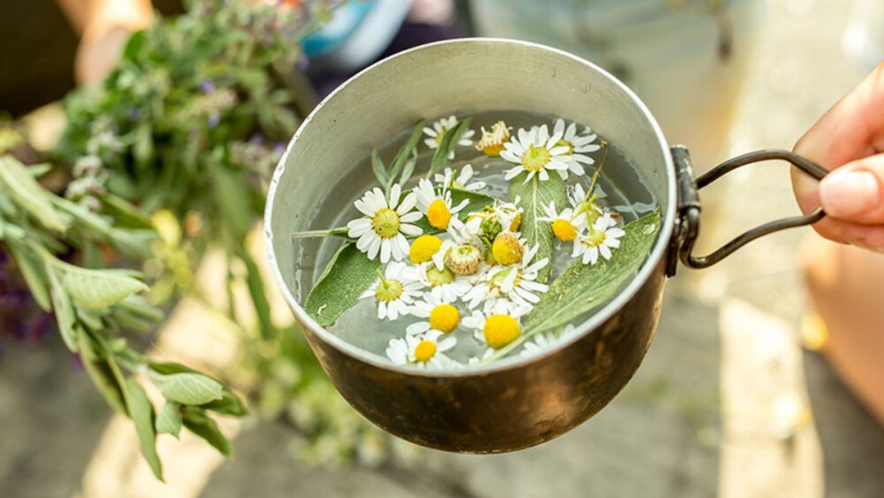 The Miraculous Benefits of Chamomile Flowers