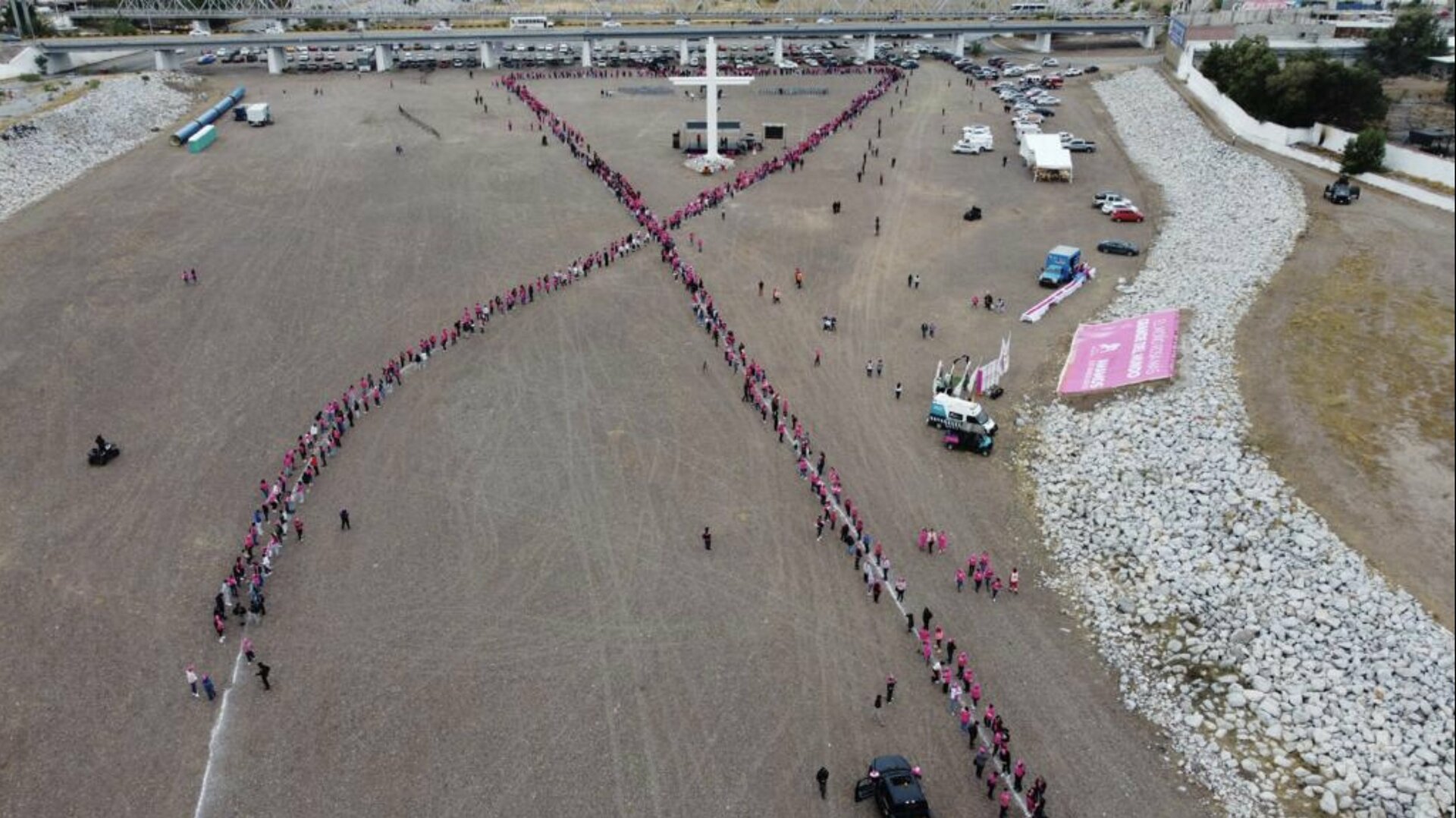 La Laguna obtiene el Récord Guinness al Moño rosa más grande del mundo