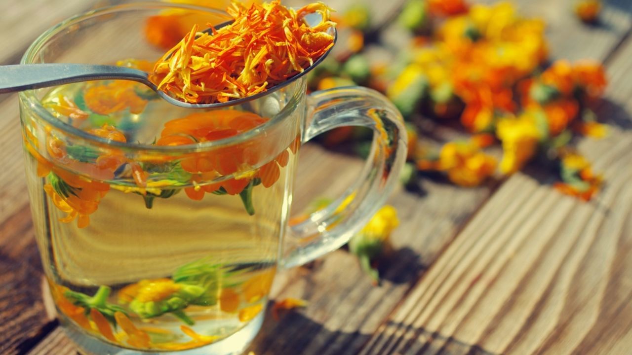 Отвар календулы. Чай с бархатцами. Чай из цветков бархатцев. Фиточай с бархатцы. Цветы чернобривцы чай.