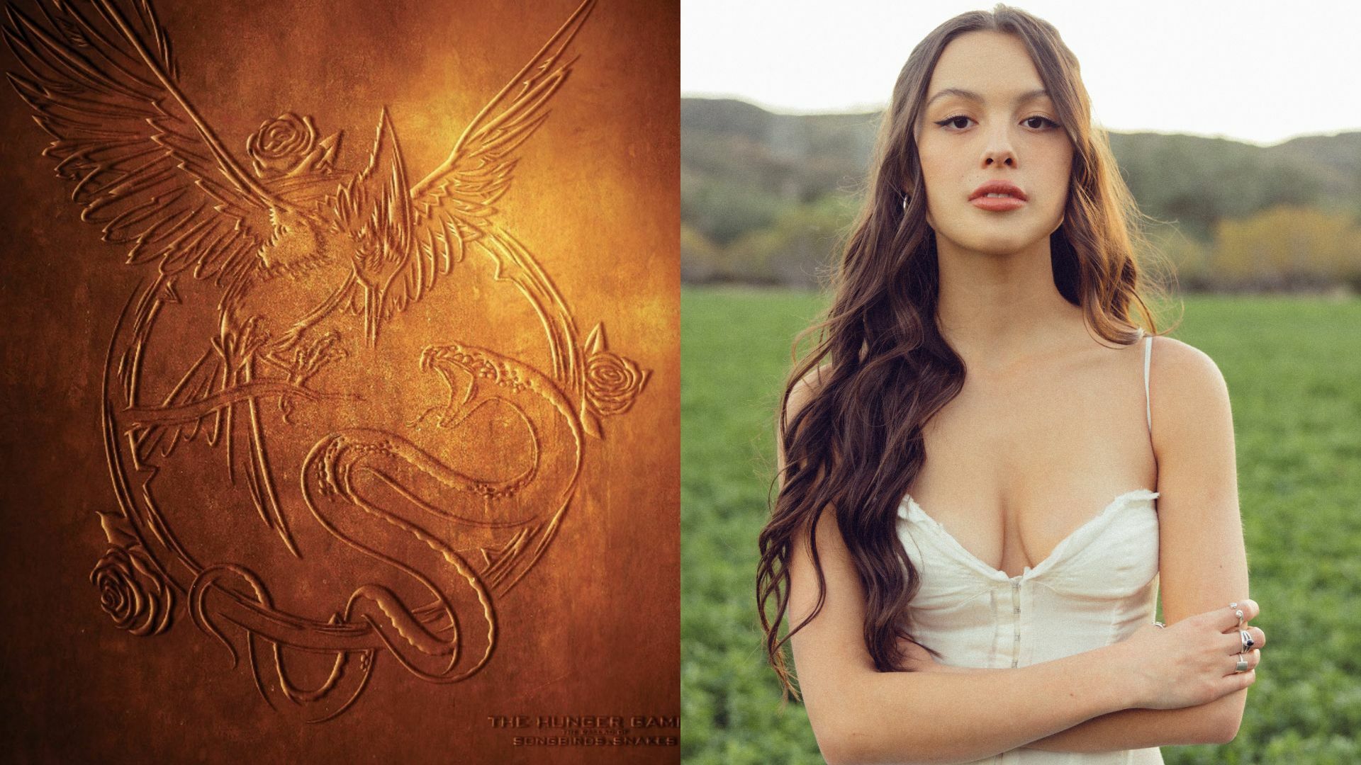 The Hunger Games: The Ballad Of Songbirds & Snakes - Vinilo naranja - Olivia  Rodrigo - Varios Artistas - Disco