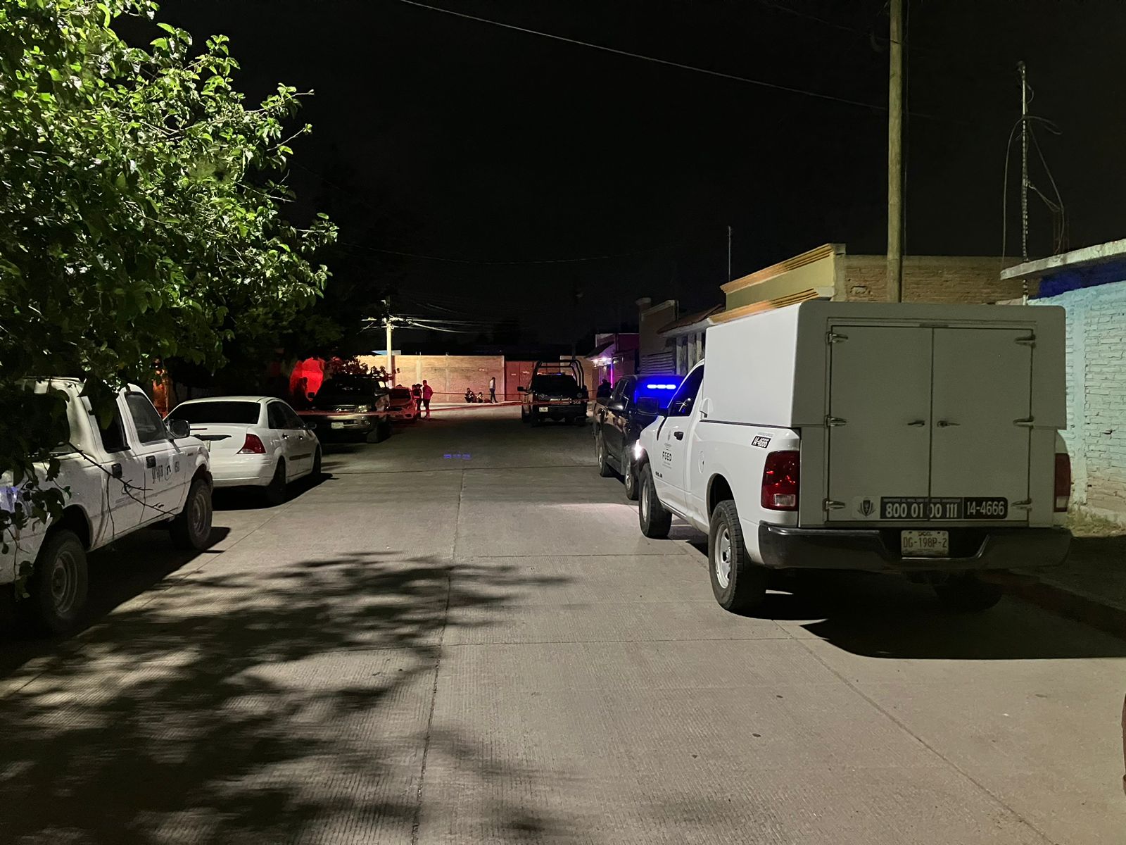 siglonet-2024061821091615-6672622e49e21