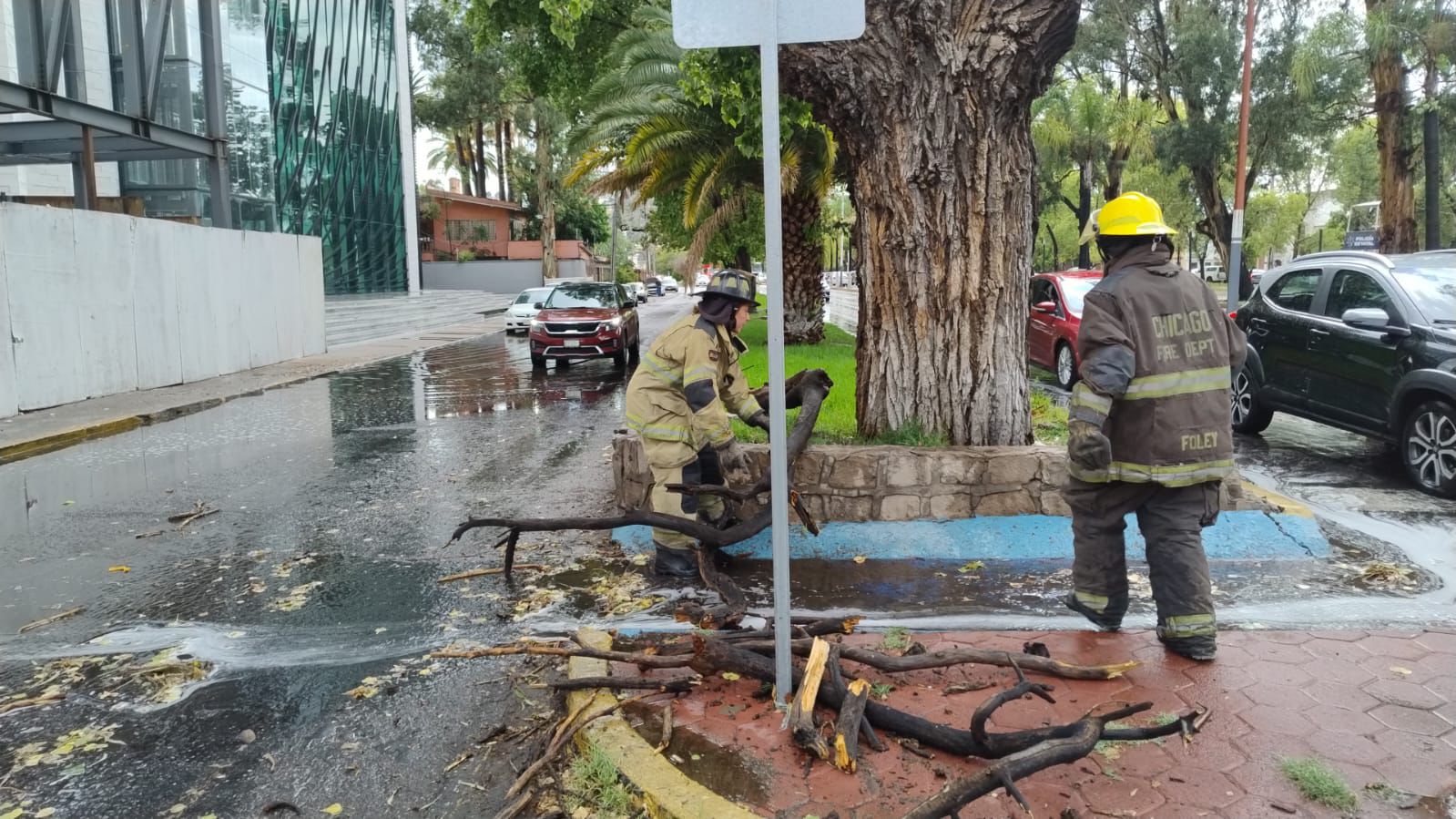 siglonet-2024080721223351-66b3ed6fec59d