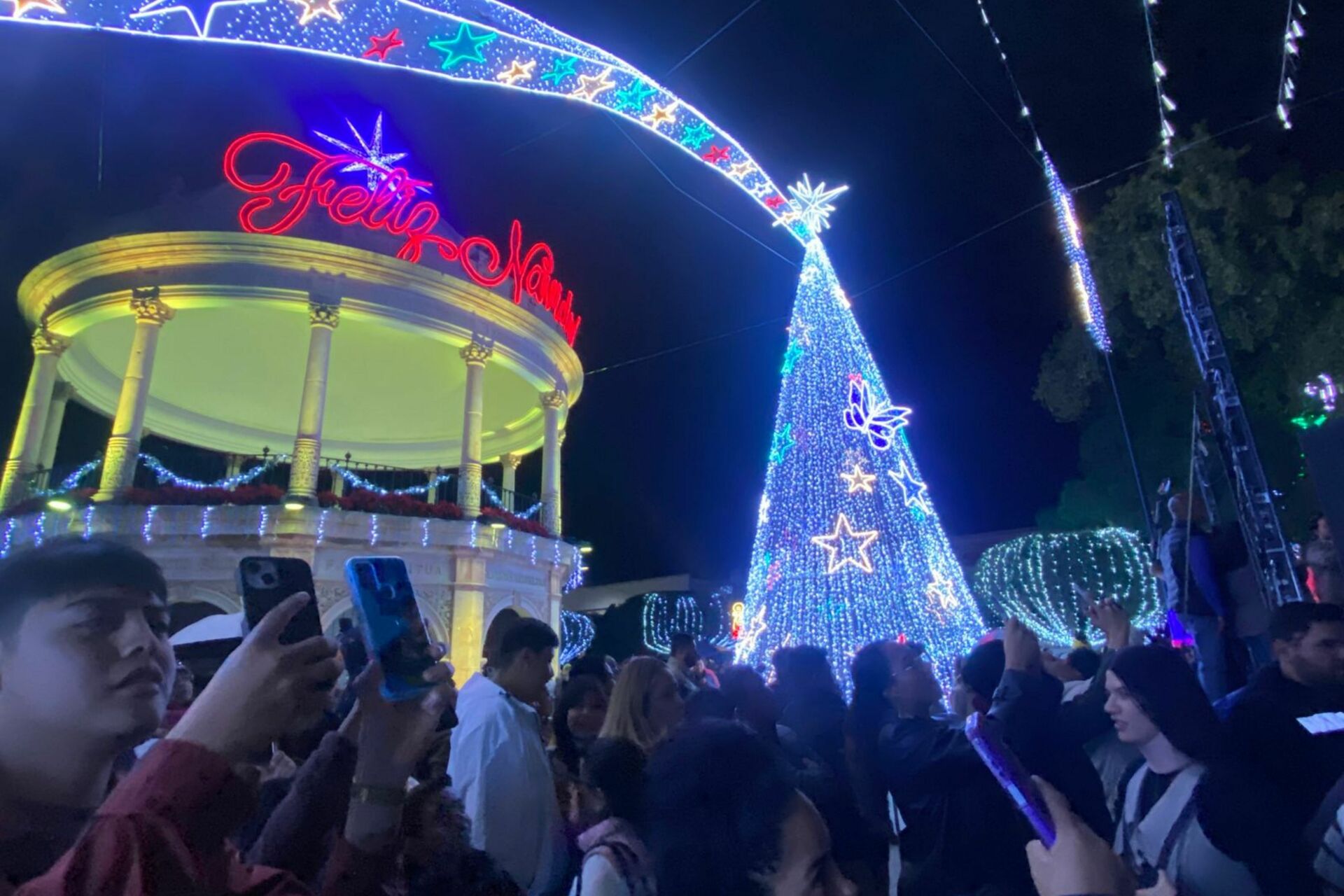 siglonet-2024120801063176-6755032dc849a