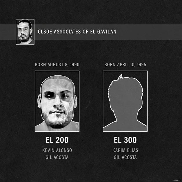 'El 200', 'El 300' y su relación con 'El Gavilán'.