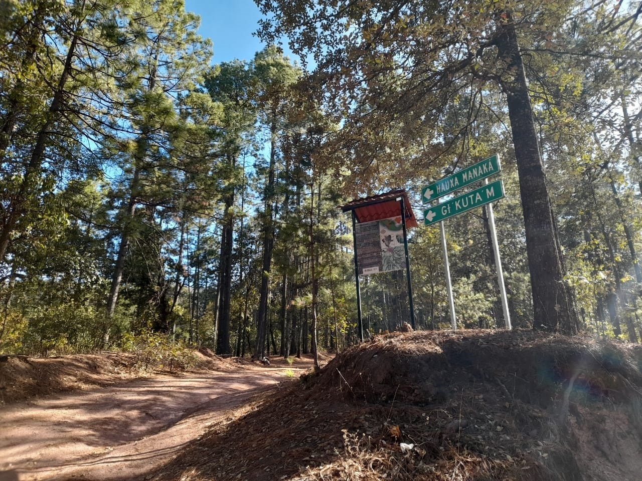 Ruta. Se encuentra dentro del municipio de Pueblo Nuevo; son más de cuatro horas por carretera.