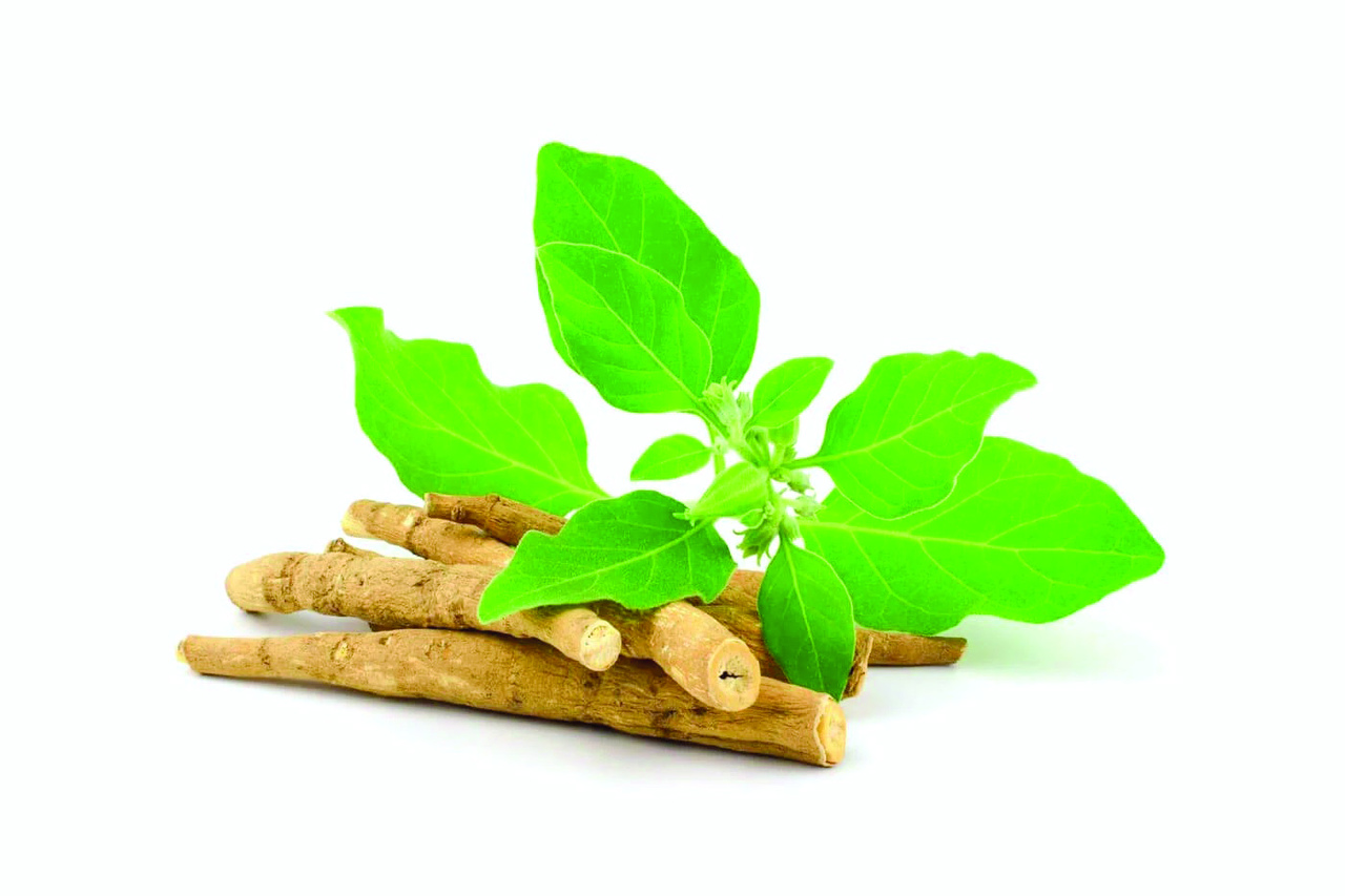 La ashwagandha es un antiestrés natural ya que reduce el cortisol, calma la mente y mejora el sueño. 