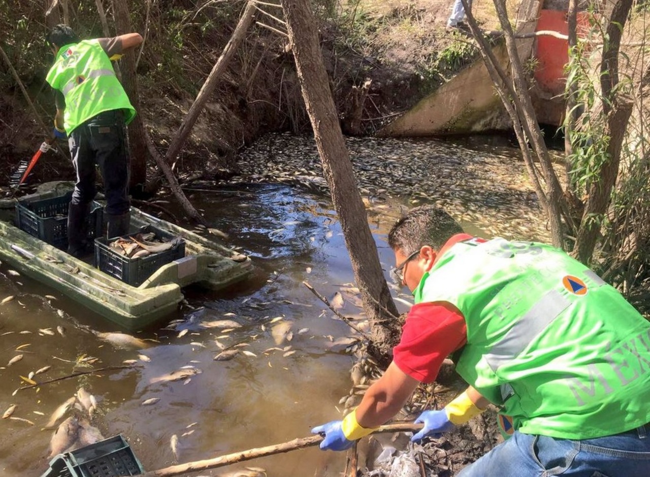 Descargas. Son varios poblados que están en las orillas del río Tunal que descargan sus aguas negras al afluente y lo contaminan.