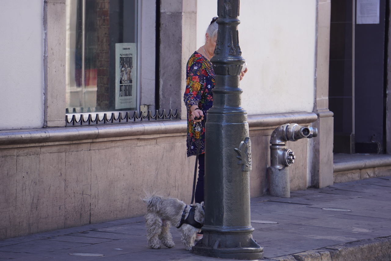 Responsabilidad. Tener un perro o un gato es una gran responsabilidad, por lo que sacarlo a pasear y recoger sus heces es un accionar de todo ciudadano de bien, sin importar su clase social o estrato socioeconómico.