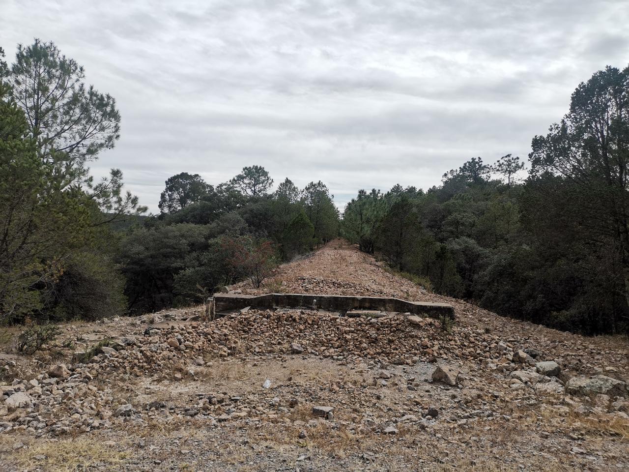Condiciones. Lo que antes eran las vías férreas actualmente lucen condiciones como la de esta imagen, en la que los rieles han desaparecido.