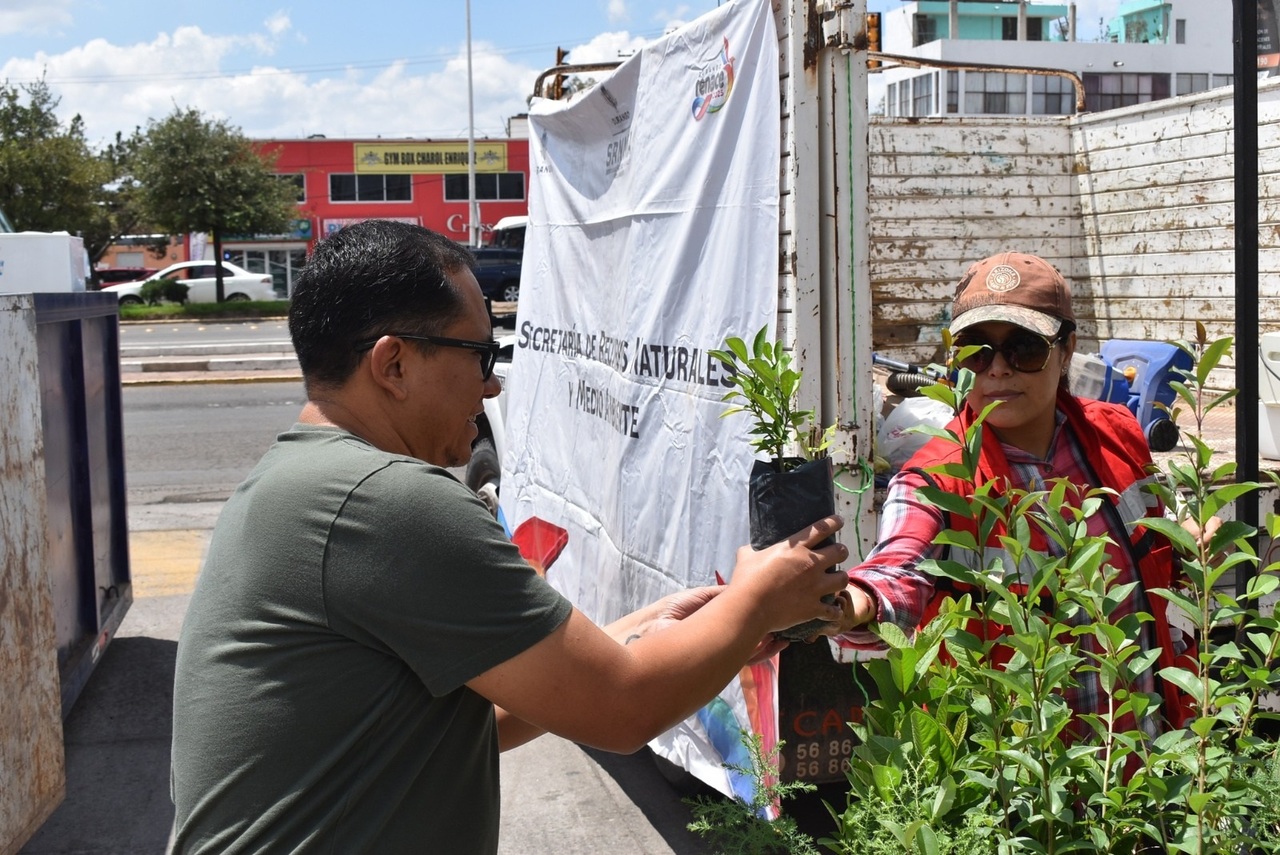 Donación. La SRNyMA entrega árboles  frutales a cambio.