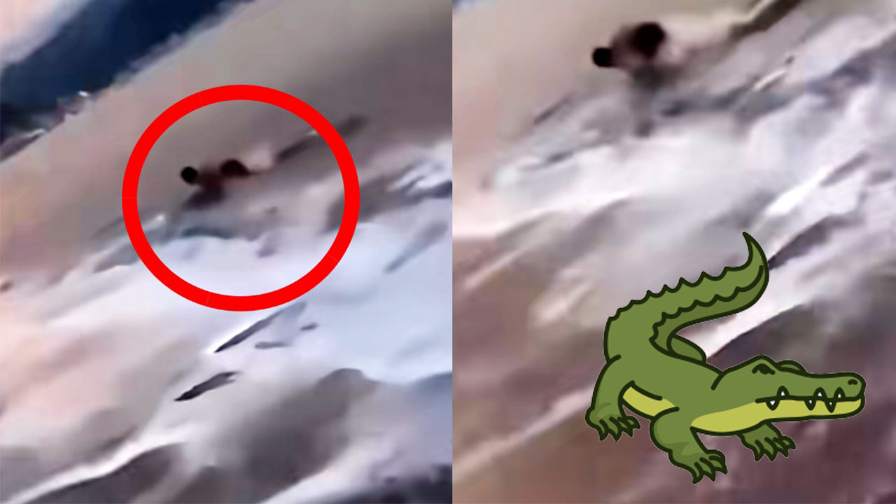 Momento exacto en que un hombre logra evadir el ataque de un cocodrilo en la playa | VIDEO