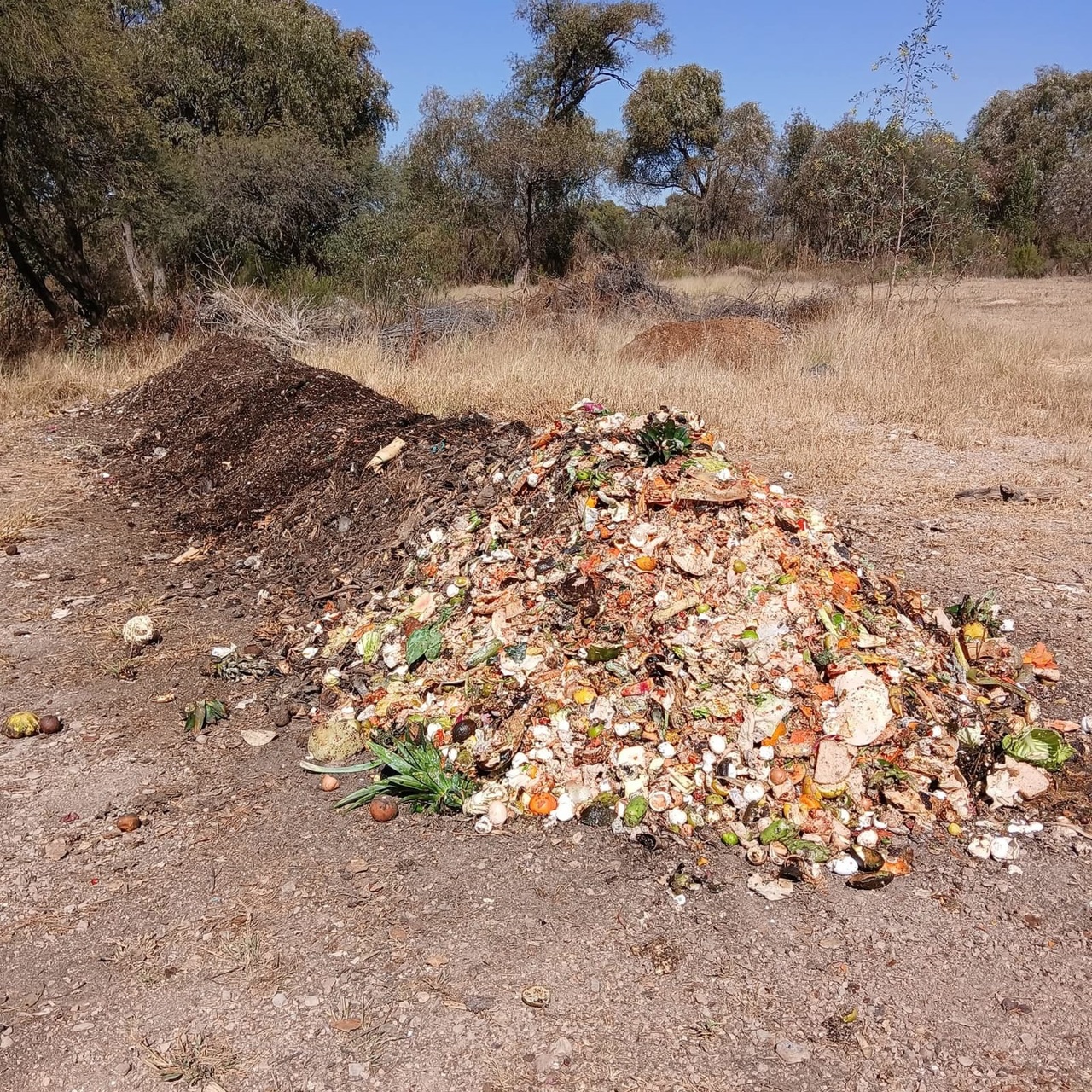 Abono. La composta se puede aplicar en cualquier parte porque es como tierra con nutrientes.