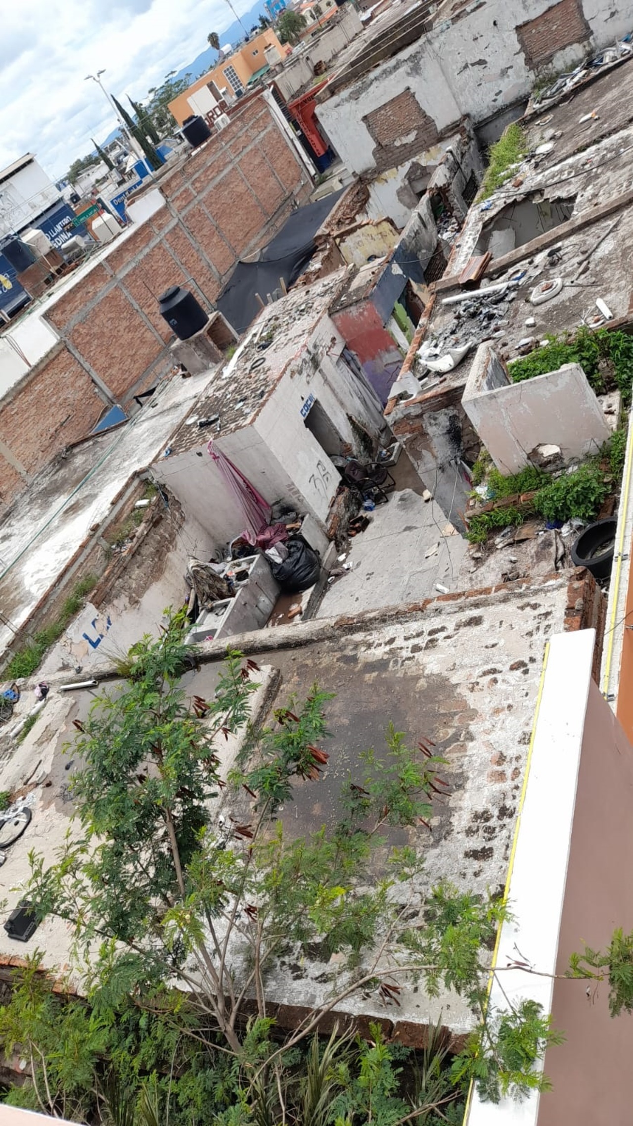 Lugar habitado. Al menos cuatro personas en situación de calle viven dentro, con dos mascotas y basura.