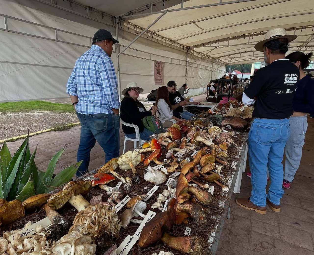 Los guisos fueron elaborados por cocineras tradicionales de Pueblo Nuevo, junto con el chef duranguense Marvin Reyes,
