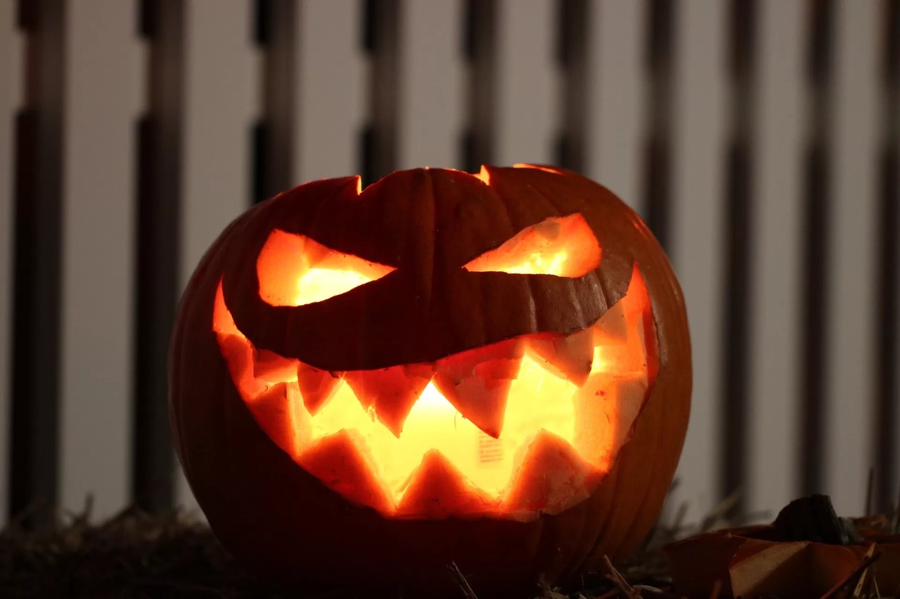 Con los cuidados adecuados, las calabazas decorativas pueden conservar su frescura durante todo el mes de Halloween.