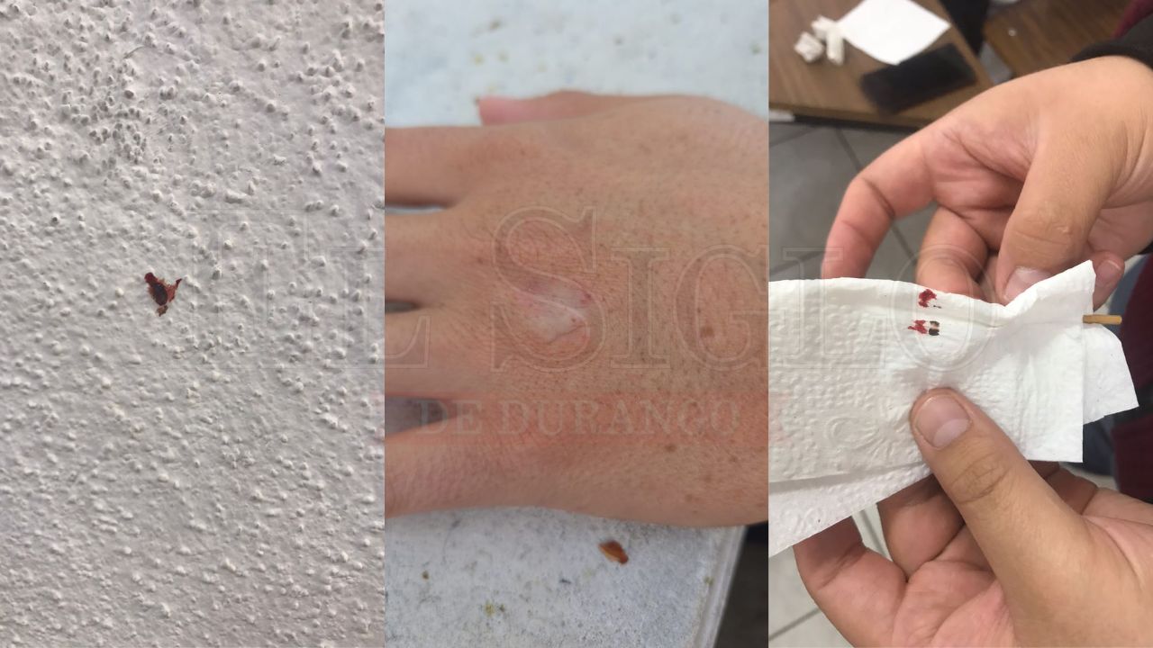 Persiste plaga de chinches en Facultad de Derecho de la UJED; alumnos ...