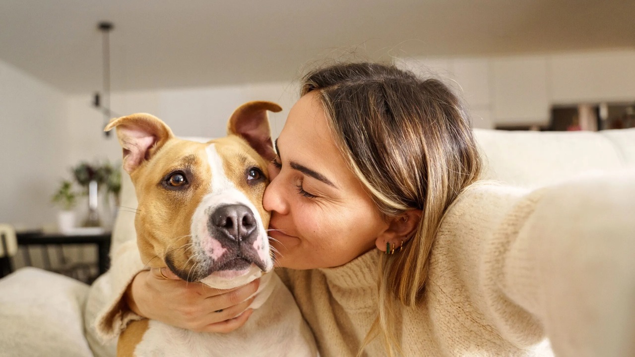  Con el tiempo, se construye un lazo de confianza entre el animal y la persona.
