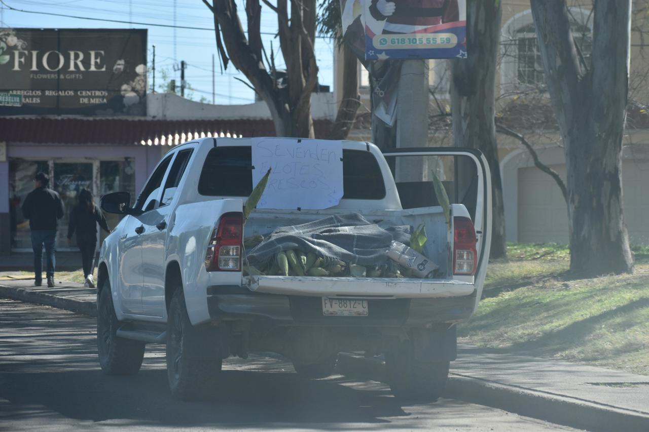 Productos. En muchas ocasiones, no suelen manejar variedad, sino que únicamente se concentran en vender un solo producto.
