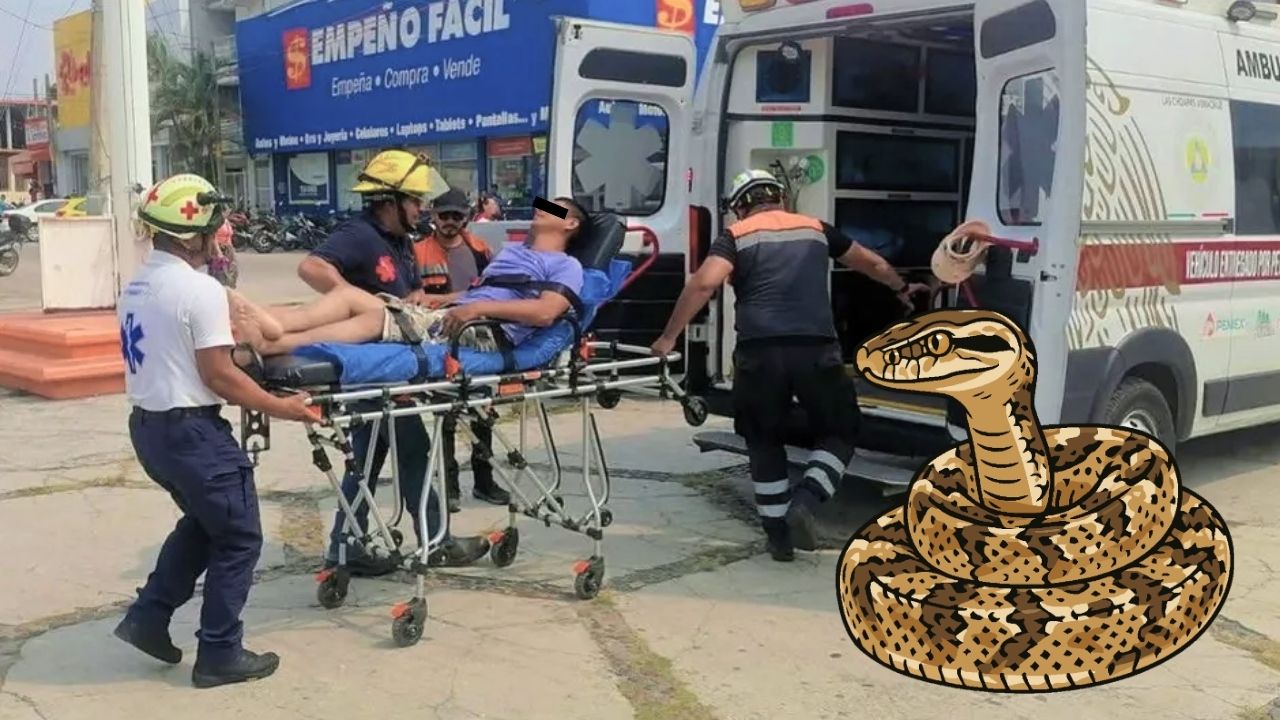 Serpiente ‘delata’ escondite de hombre implicado en multihomicidio y logran su detención