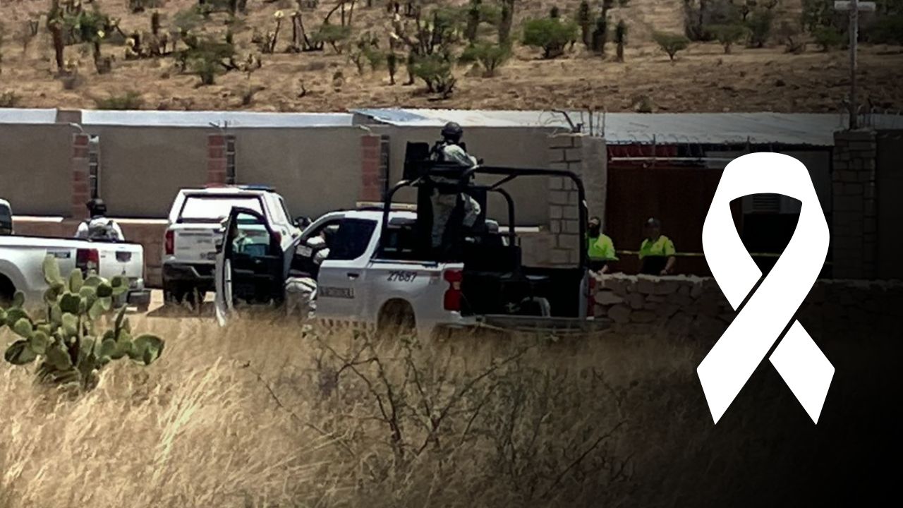 Hallan cuerpo de un bebé en Hacienda de Tapias; un perro lo cargaba en el hocico